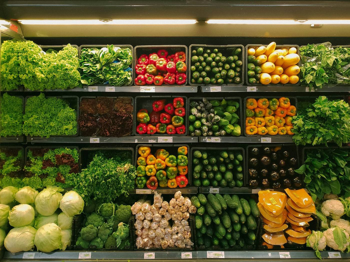 Crates of leafy greens, peppers, cucumbers and squash packed in a refrigerated cooler